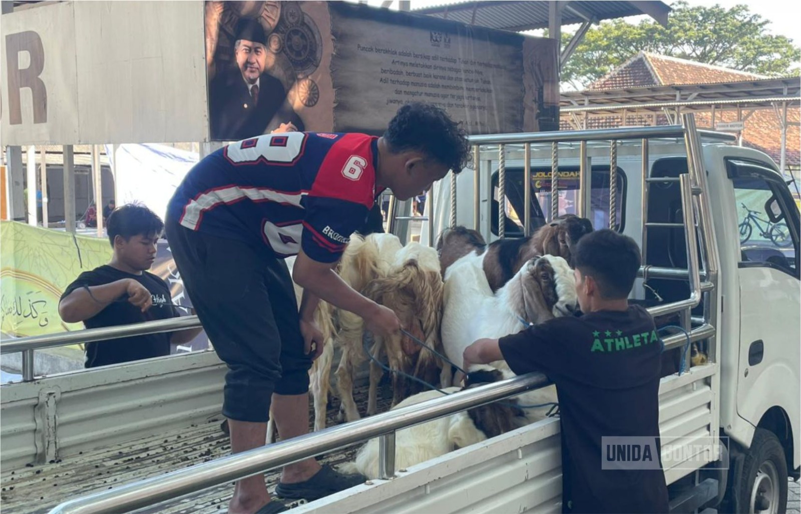 Pelaksanaan ibadah qurban di Universitas Darussalam Gontor dengan suasana kebersamaan dan gotong royong